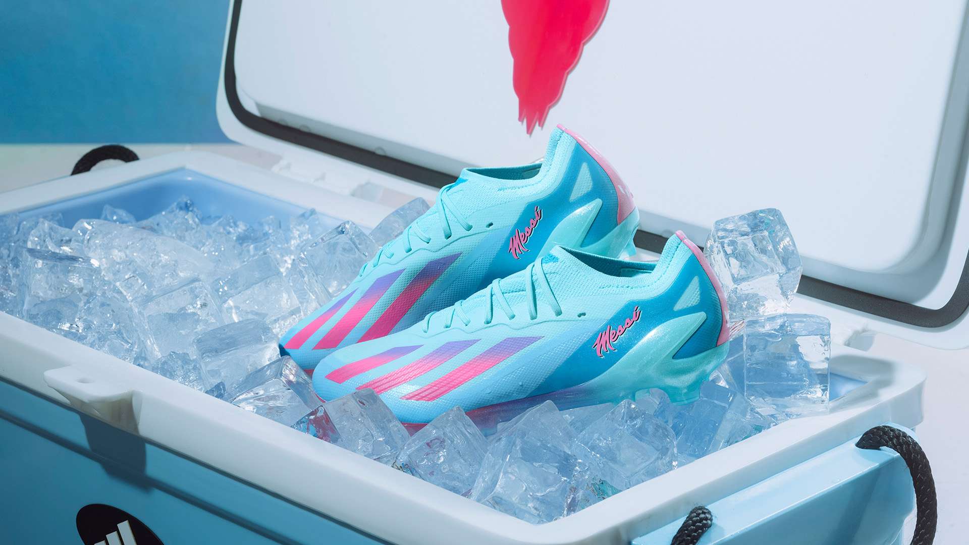 員具有極高 員具有極高